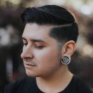 Meet your Posher, Michaelangelo